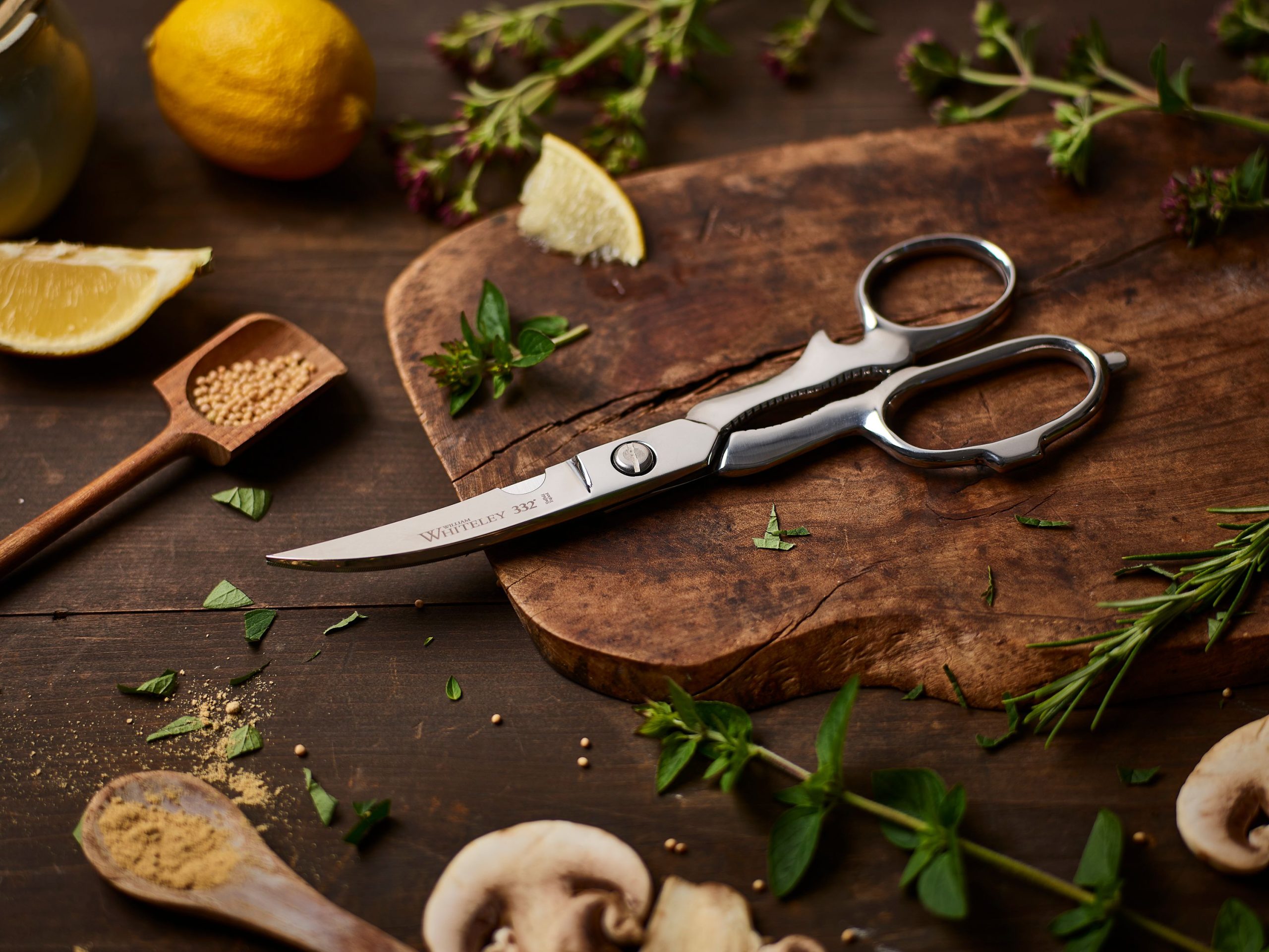 Classic kitchen scissors